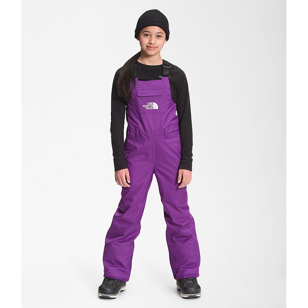 The North Face Pants Youth Australia - The North Face Freedom Insulated Bib Purple Ski (FUN-194630)